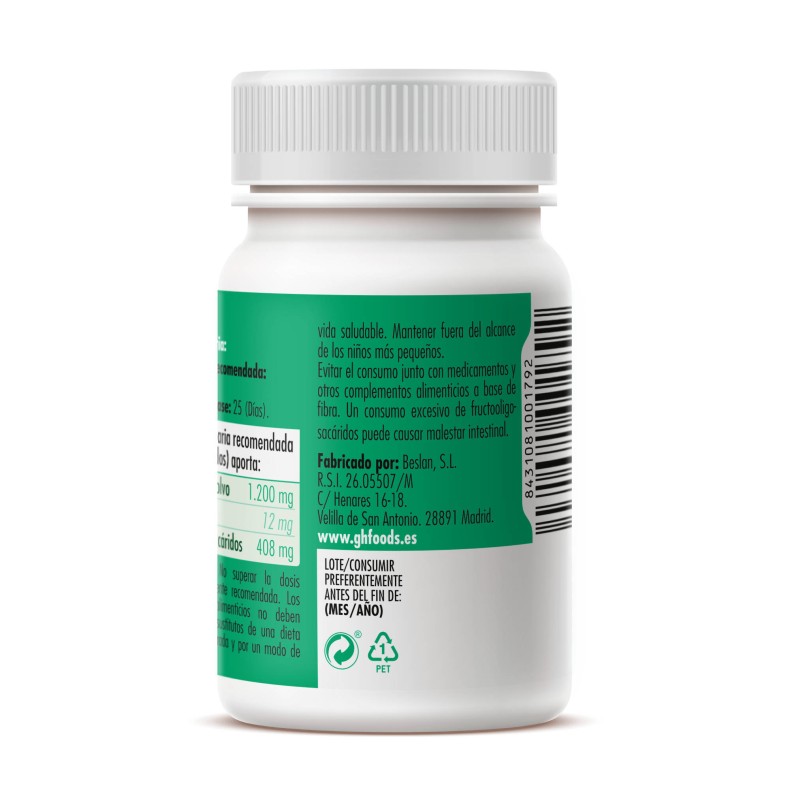 GHF Boldo 100 comprimidos