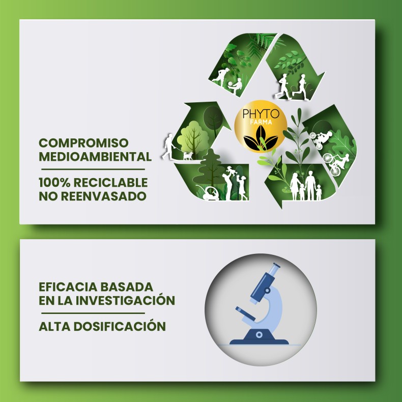 PHYTOFARMA Magnesio Bisglicinato 300 cápsulas pack 2