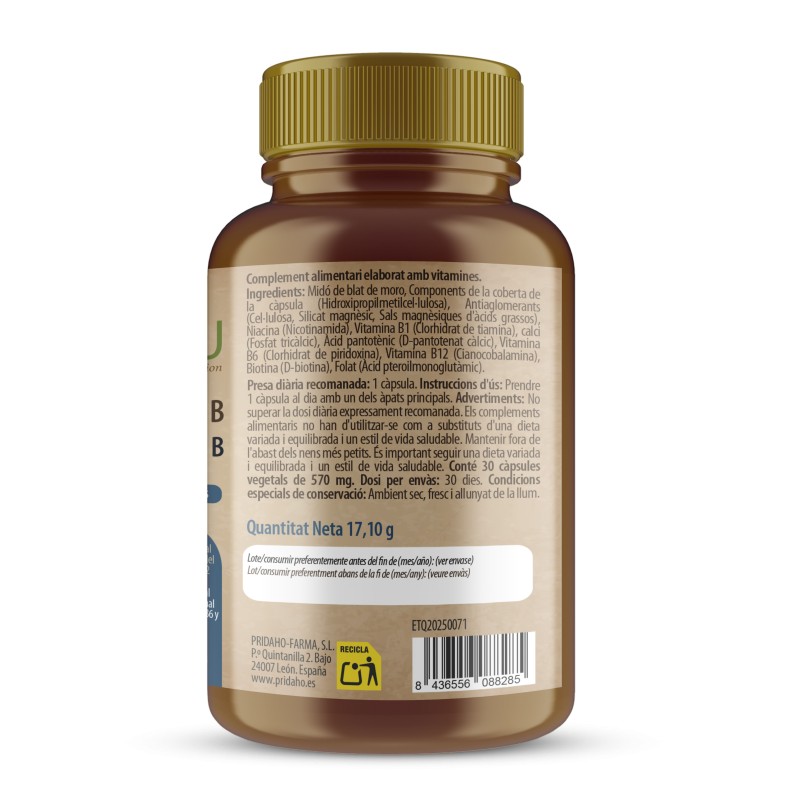 H4U Complejo Vitamínico B 30 cápsulas special edition