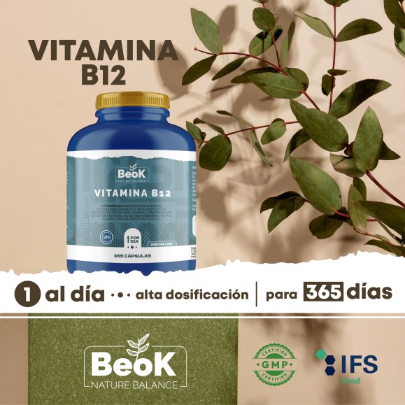 BEOK Vitamina B12 365 cápsulas