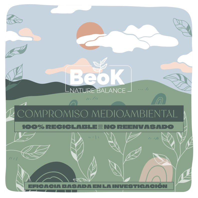 BEOK Magnesio + Vitamina B6 360 comprimidos