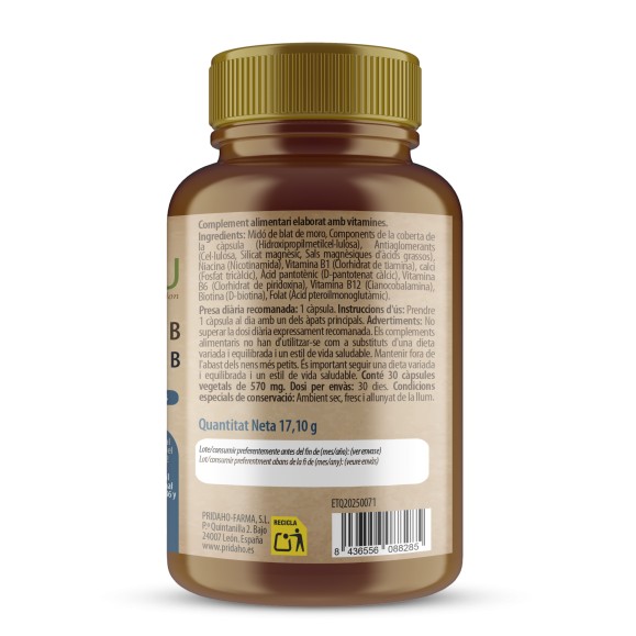 H4U Complejo Vitamínico B 30 cápsulas special edition