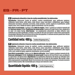 SANON Creatina 120 gummies 2