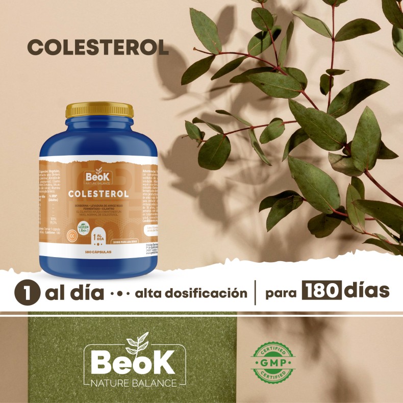 BEOK Colesterol 180 cápsulas