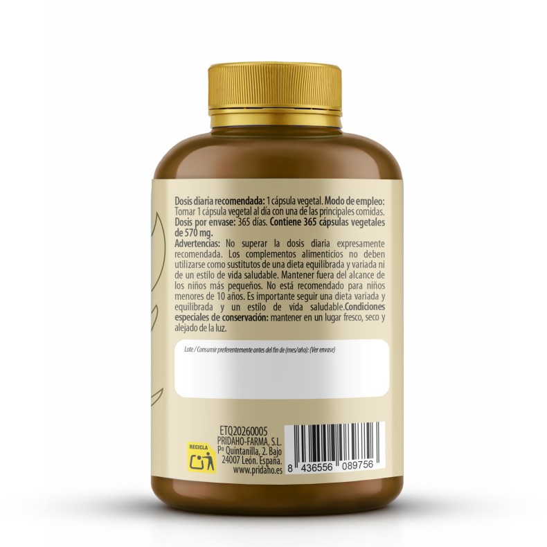 PHYTOFARMA Complejo Vitamínico B 365 cápsulas