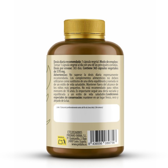 PHYTOFARMA Complejo Vitamínico B 365 cápsulas