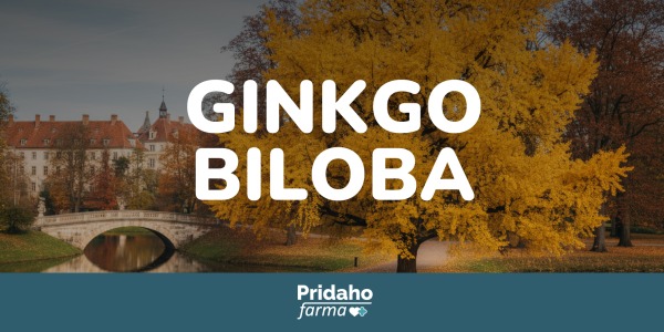 Para qué sirve el Ginkgo biloba y cómo actúa en el cerebro