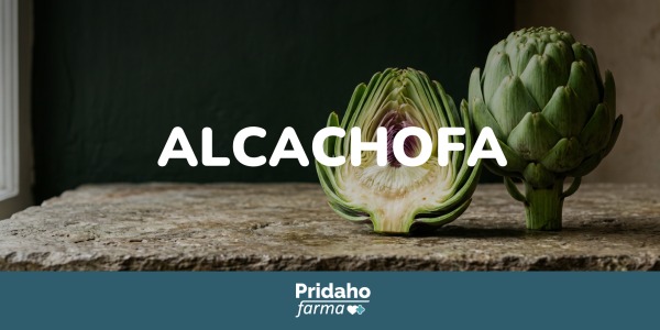 Propiedades de la Alcachofa