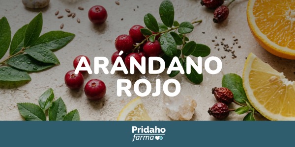 Para Qué Sirve el Arándano Rojo Americano